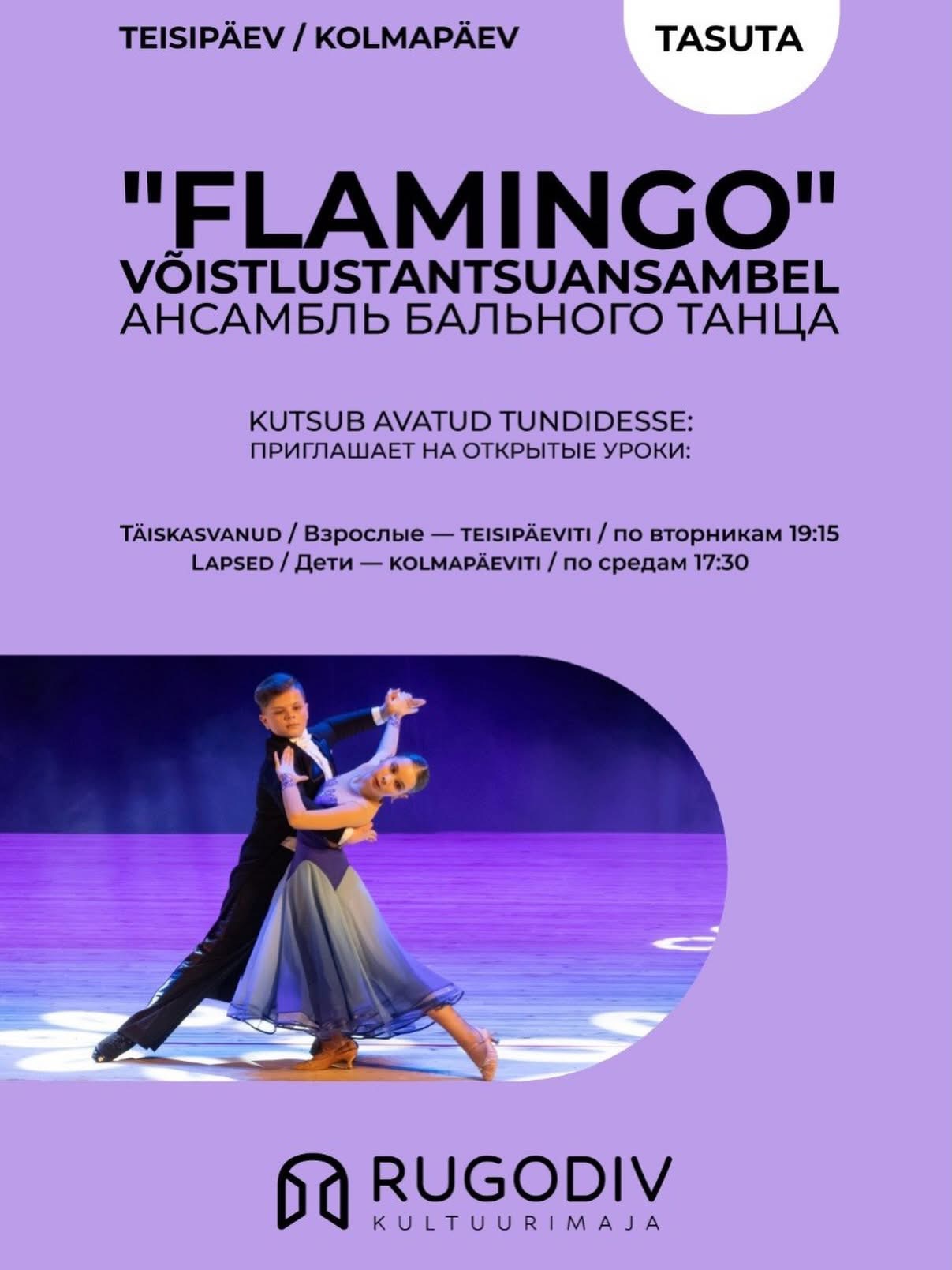 Competitive dance Ensemble “Flamingo” open hours (children)